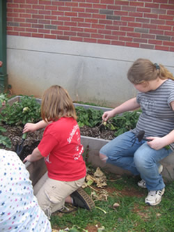 garden club image